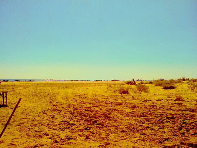 Arnaud Fromont , désolation camargue